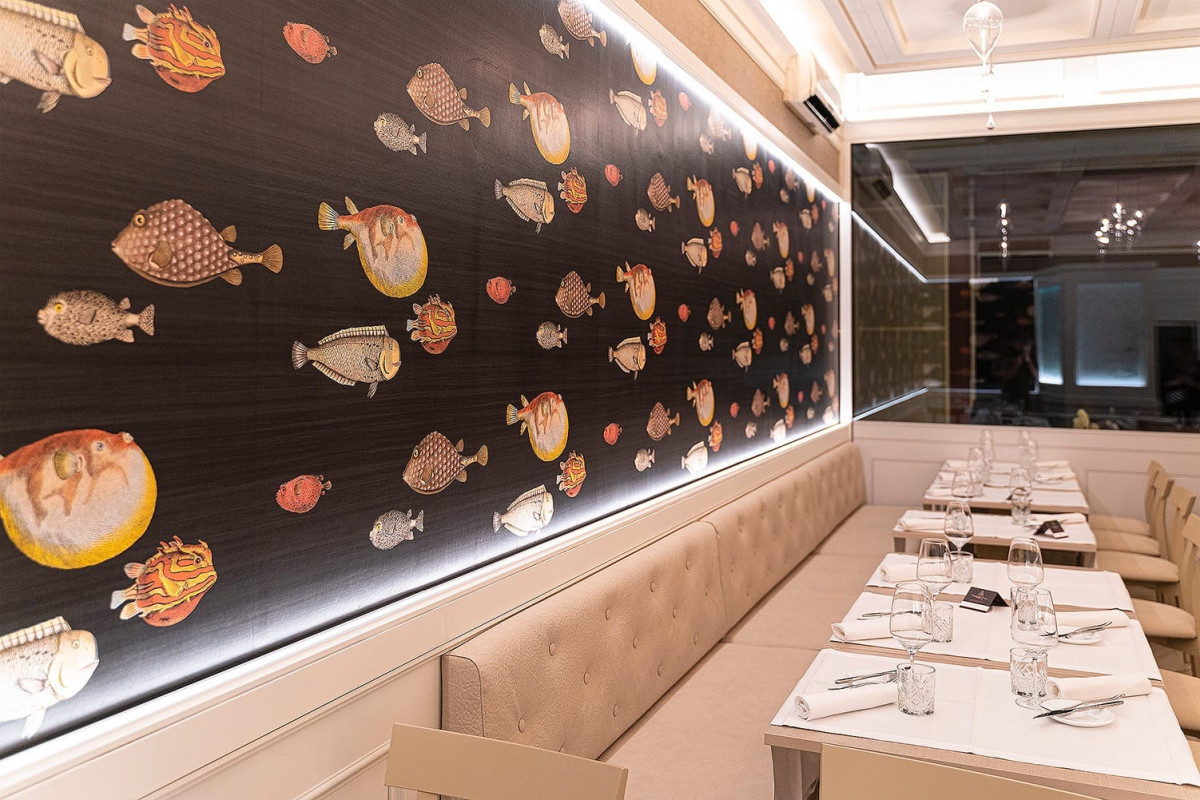 macchini_project_img